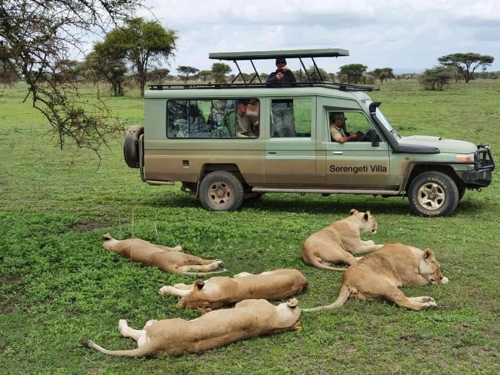Serengeti Villa Arusha Extérieur photo